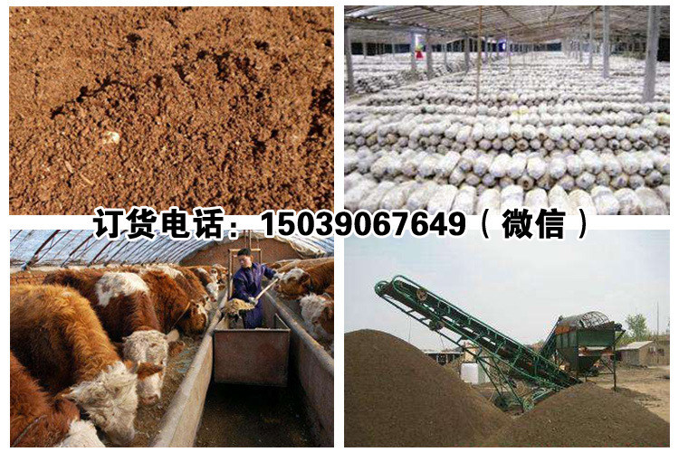 4．發(fā)酵牛飼料可以喂牛嗎？ 